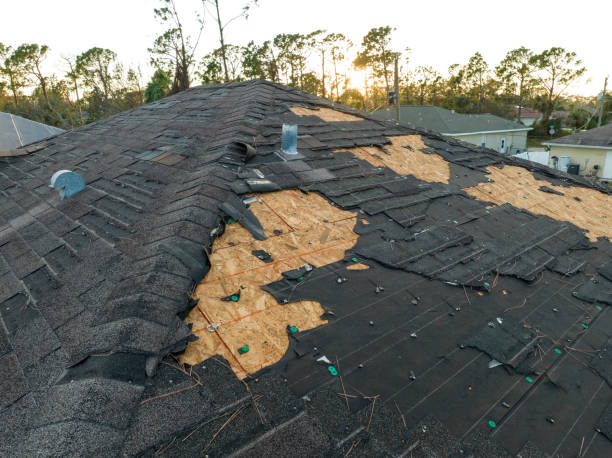 Best Roof Installation  in Murillo, TX