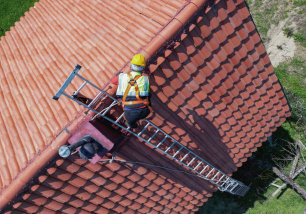 Best Chimney Flashing Repair  in Murillo, TX