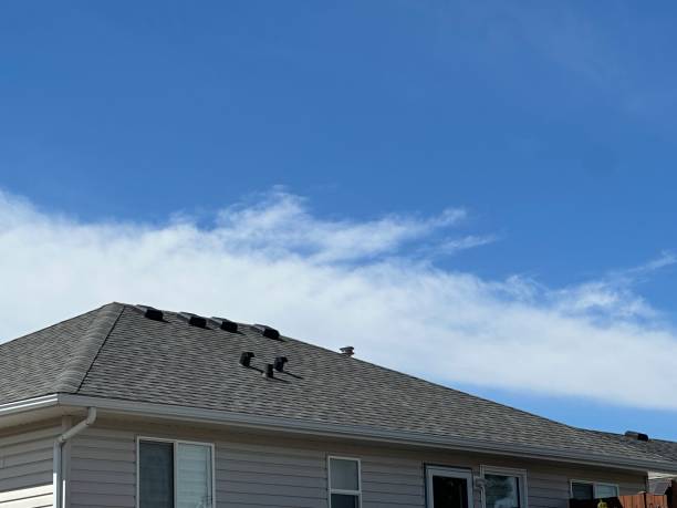 Best Asphalt Shingle Roofing  in Murillo, TX